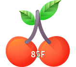  85F