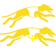  85F